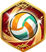 Official Levulin Beach Volleyball picture